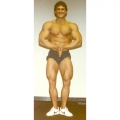 1985 offseason 240#