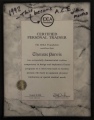 Certification - IDEA Foundation (before it became ACE) 1992.8