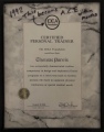 Certification - IDEA Foundation (before it became ACE) 1992.8