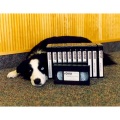 1996 - Bailey with our first video series - sold thousands of copies